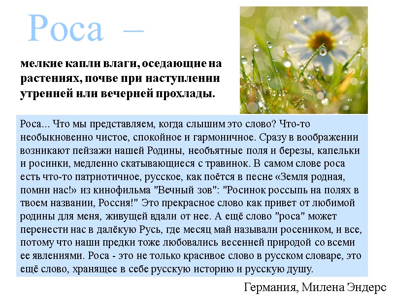 Роса  – мелкие капли влаги, оседающие на растениях, почве при наступлении утренней или